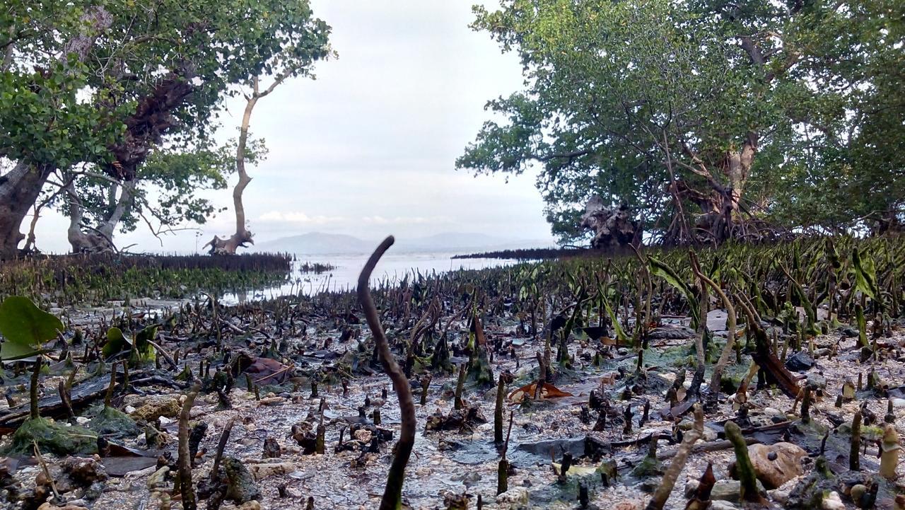 Jonaths Cottage Bunaken Exterior photo